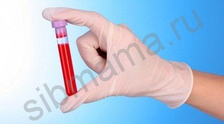 Общий анализ крови норма для беременны thumbnail