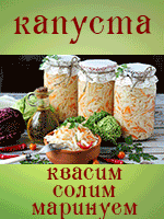 Квасим, солим, маринуем капусту. Кулинарный флеш-моб Квасим, солим, маринуем капусту. Кулинарный флеш-моб