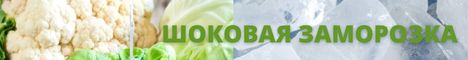 Плюшевый мишка в машине. Смотреть фото Плюшевый мишка в машине. Смотреть картинку Плюшевый мишка в машине. Картинка про Плюшевый мишка в машине. Фото Плюшевый мишка в машине