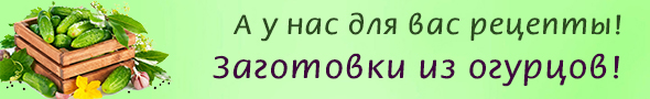 заготовки из огурцов заготовки из огурцов