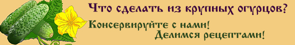 заготовки из крупных огурцов заготовки из крупных огурцов