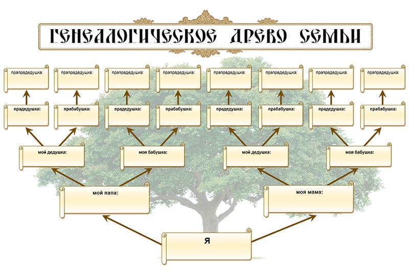 Схема генеалогического древа семьи - история рода