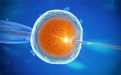 Эффективное лечение бесплодия: использование донорской яйцеклетки. Как стать донором яйцеклетки, где искать донора, какие требования предъявляются к донору яйцеклетки. Российское законодательство и беременность с использованием донорской яйцеклетки.