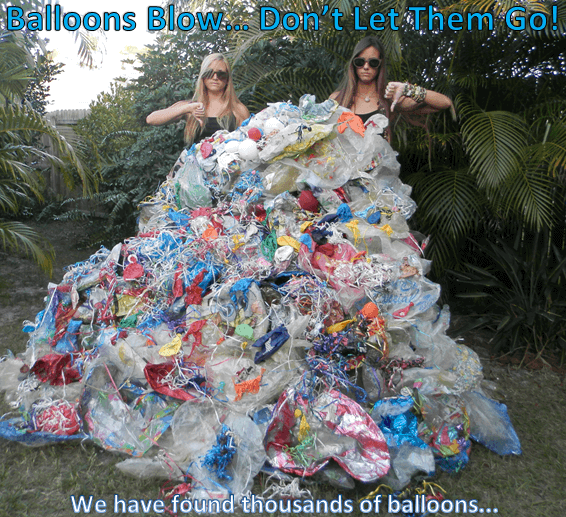 Экология: опасно ли запускать воздушные шары с гелием. Петиция в поддержку активистов «Balloons blow».