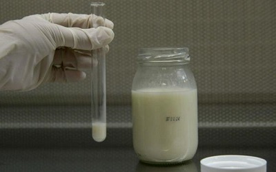Стафилококк в грудном молоке: как его найти и что затем делать?