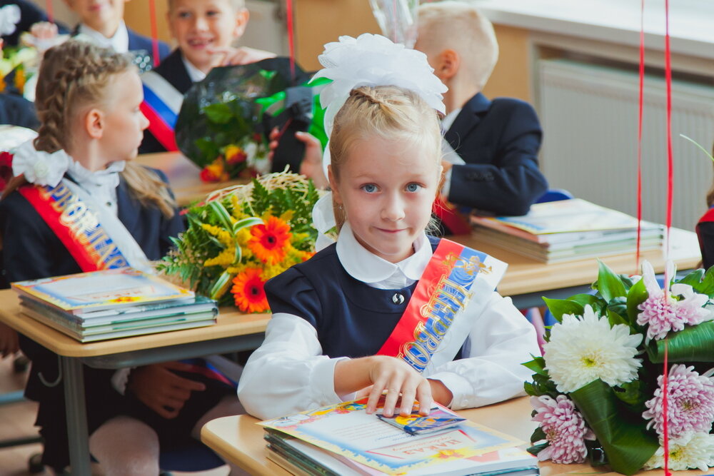 Записать ребенка в первый класс московская область