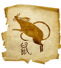 Китайский гороскоп на год Голубого Водяного Тигра. Кому повезет в 2022 году: предсказание удачи на год Тигра для всех знаков восточного гороскопа.