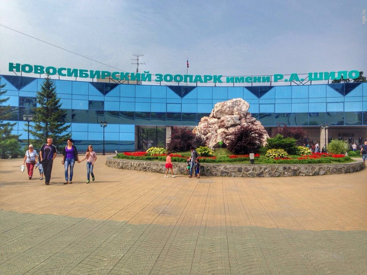 новосибирский зоопарк новосибирск