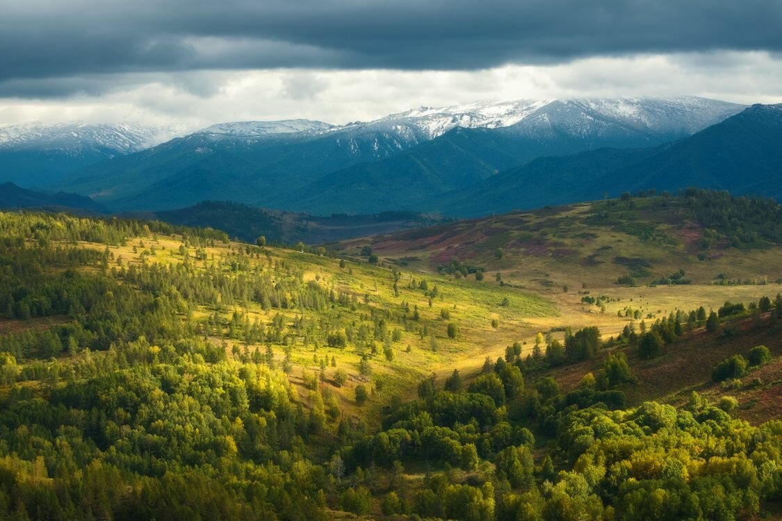 Самые интересные факты о Сибири, которые Вы могли не знать – Это Сибирь!