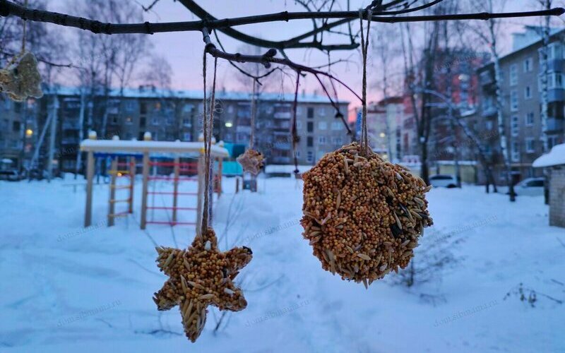 Делаем экокормушки для птиц своими руками