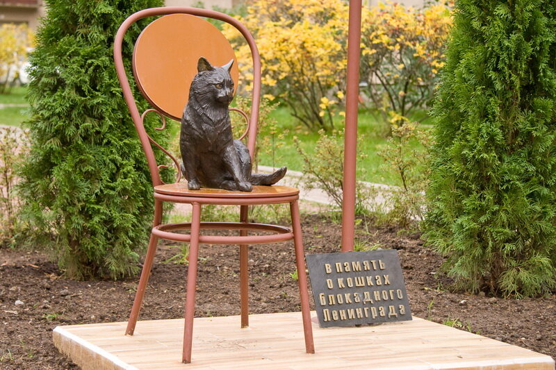 В Выборгском районе на улице Композиторов находится бронзовая статуя кота на стульчике