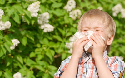 ребенок аллергик, поллиноз к деревьям, аллергия на пыльцу