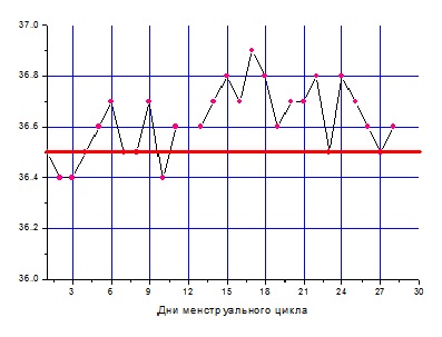 базальная температура, график базальной температуры, базальная температура ановуляторный цикл