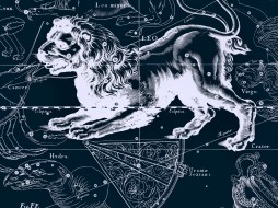 гороскоп на 2015 год для  Льва