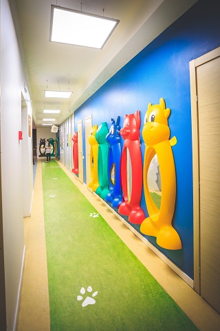 Детский развлекательный центр Новосибирск, детские центры в Новосибирске, где отметить детский день рождения, детский центр Big Bada Boom