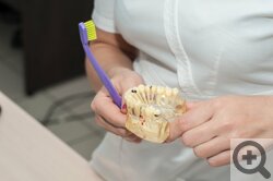 Стоматология в Новосибирске. Тест-драйв стоматологической клиники «Abend»: отзывы о терапевте, ортодонте, гигиенисте. Недорогая имплантация зубов в Новосибирске. 