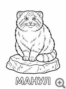 ��������� ����� ����� ������������� �������