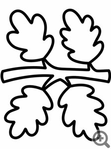 ��������� ������� � ��������