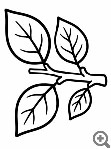 ������ ������ ���������