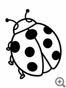 ������� ����� ������� ���������