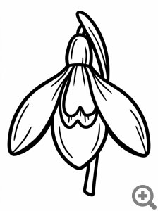 ���������� ��������� ��� ���