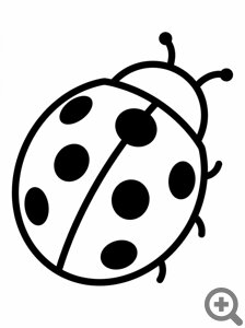 ����� ������� ������� ������