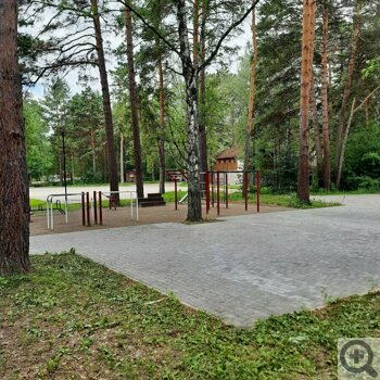 Заельцовский парк