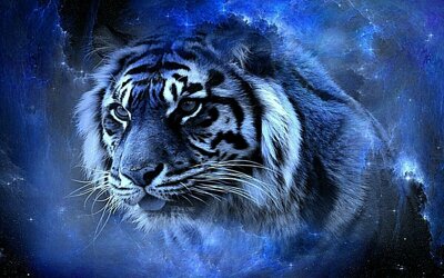 Китайский гороскоп на год Голубого Водяного Тигра. Кому повезет в 2022 году: предсказание удачи на год Тигра для всех знаков восточного гороскопа.
