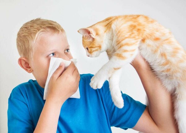 аллергия у детей
