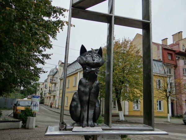 больше всего в России кошек любят в Калининграде