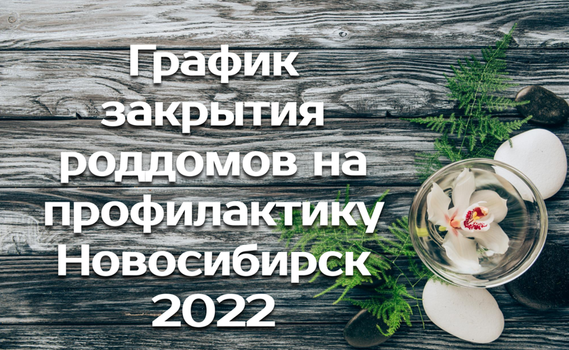 2022 г Расписание закрытия роддомов Новосибирска на мойку и ремонт