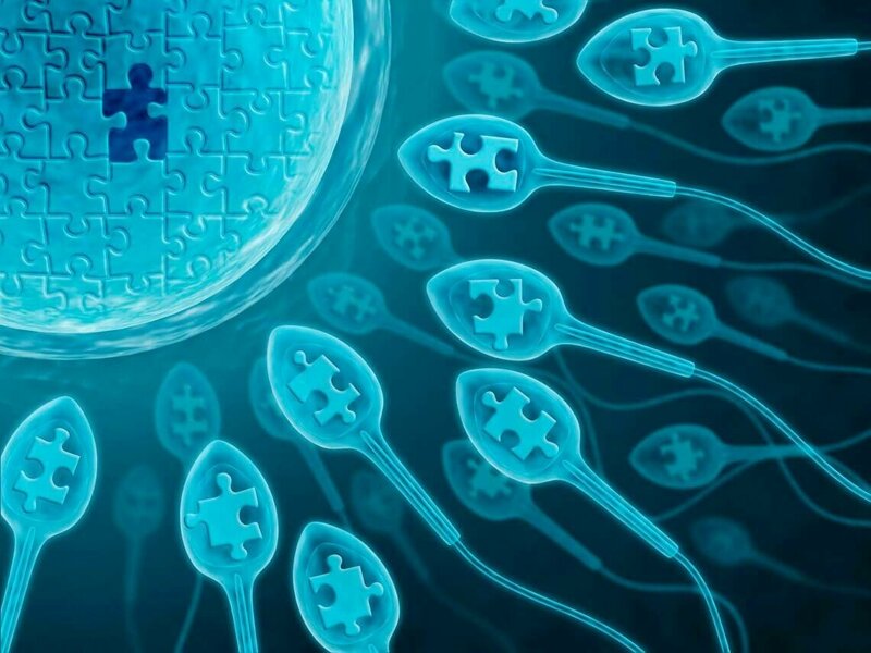 ИКСИ-ПИКСИ и другие репродуктивные технологии при мужском бесплодии