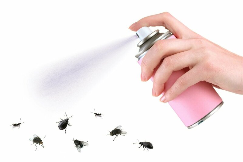 Химическая атака: инсектициды