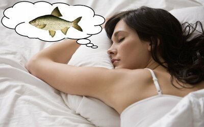 Рыба снится к беременности