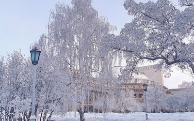 12 идей, куда сходить в декабре и в новогодние дни в Новосибирске