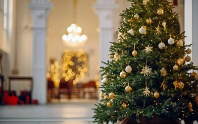 в предновогодние и праздничные дни пройдет множество спектаклей