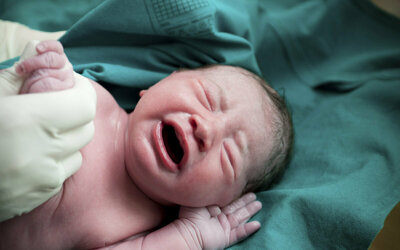 ученые до сих пор точно не знают, что чувствует малыш во время родов